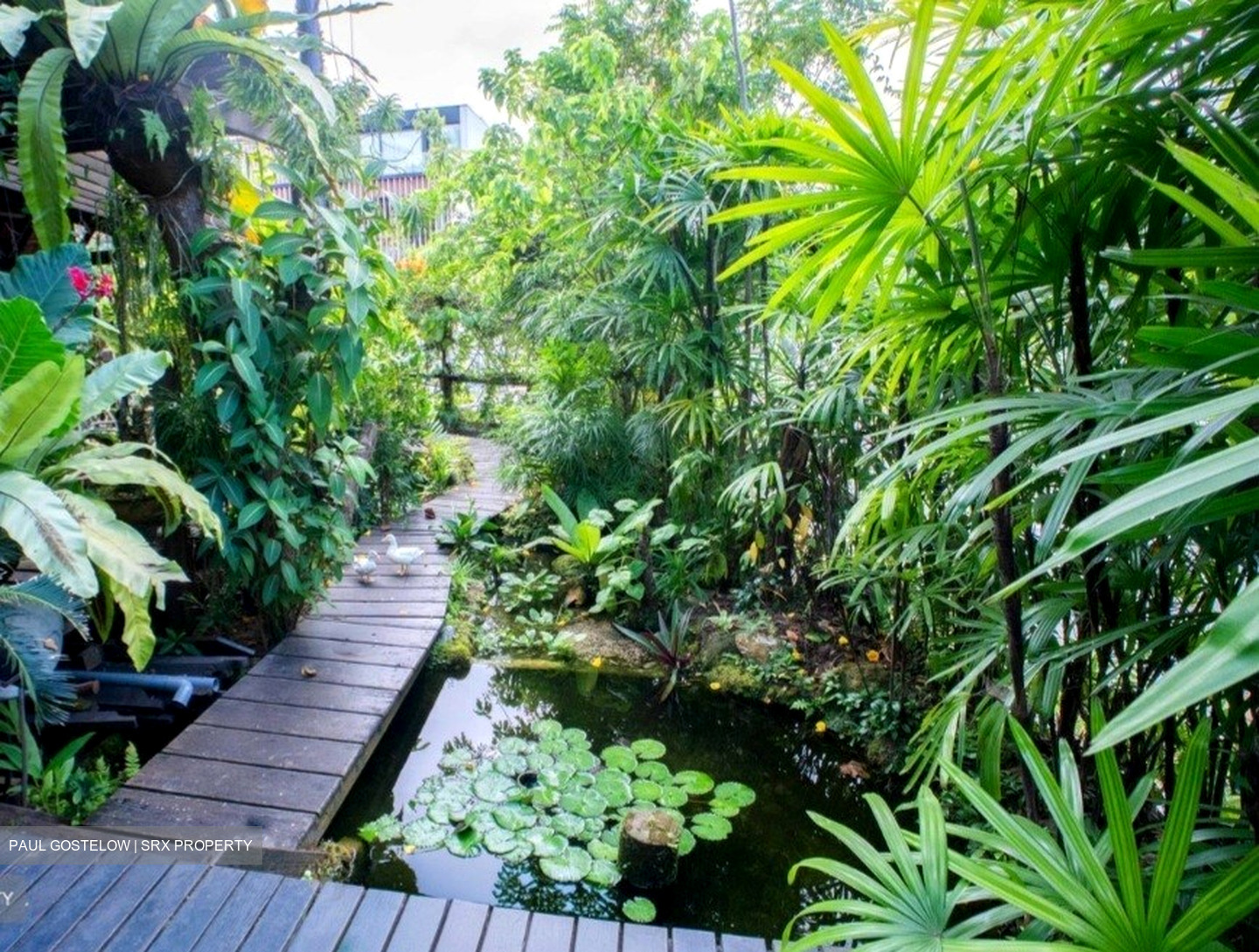 Choon Sing Garden (D20), Semi-Detached #563647831